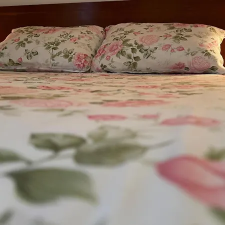 Jackie * Baška